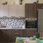 Spacious With Parking Apartment
